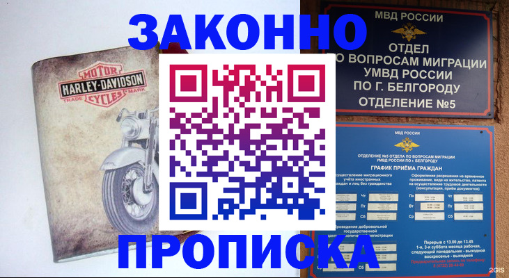 прописка для школы в Зарайске
